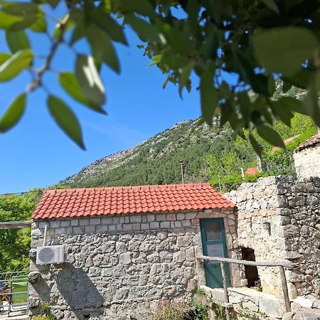 Cottage Melita The Apartment For Animal Lovers Babino Polje 外观 照片