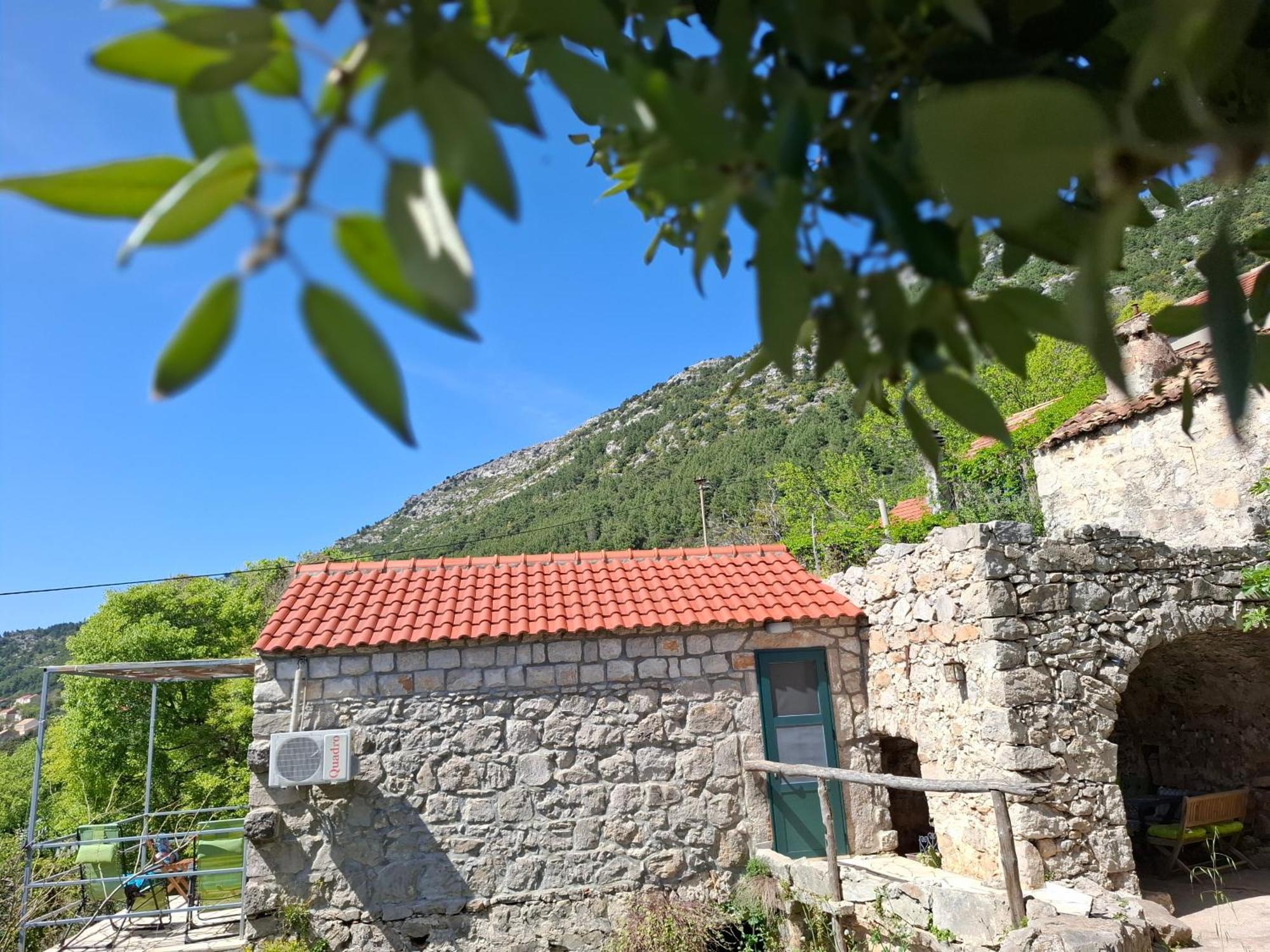 Cottage Melita The Apartment For Animal Lovers Babino Polje 外观 照片