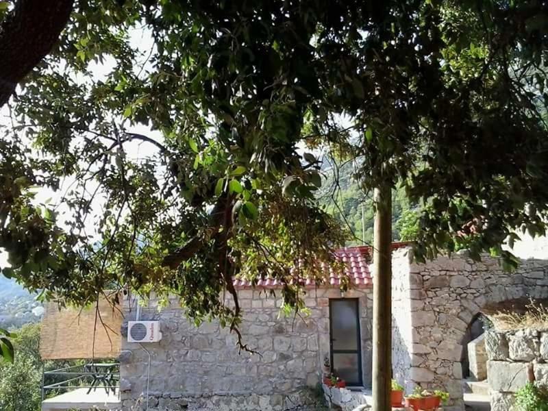Cottage Melita The Apartment For Animal Lovers Babino Polje 外观 照片