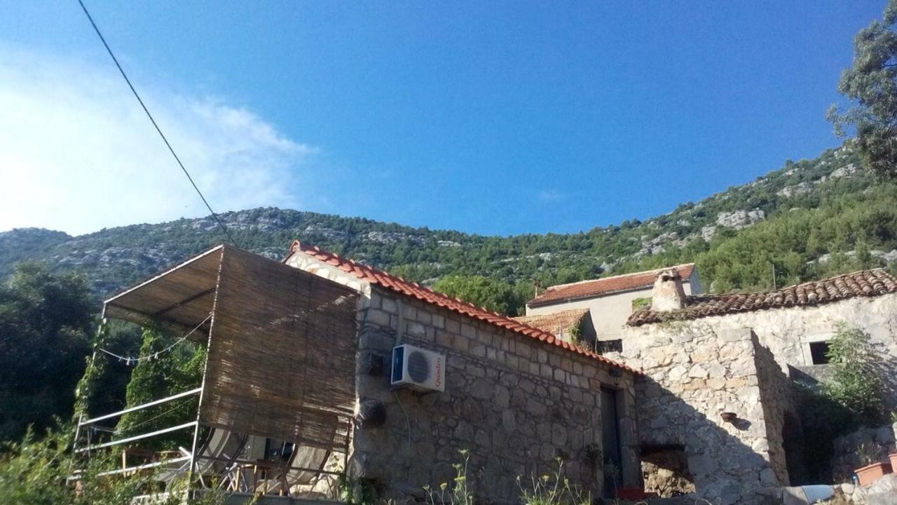 Cottage Melita The Apartment For Animal Lovers Babino Polje 外观 照片