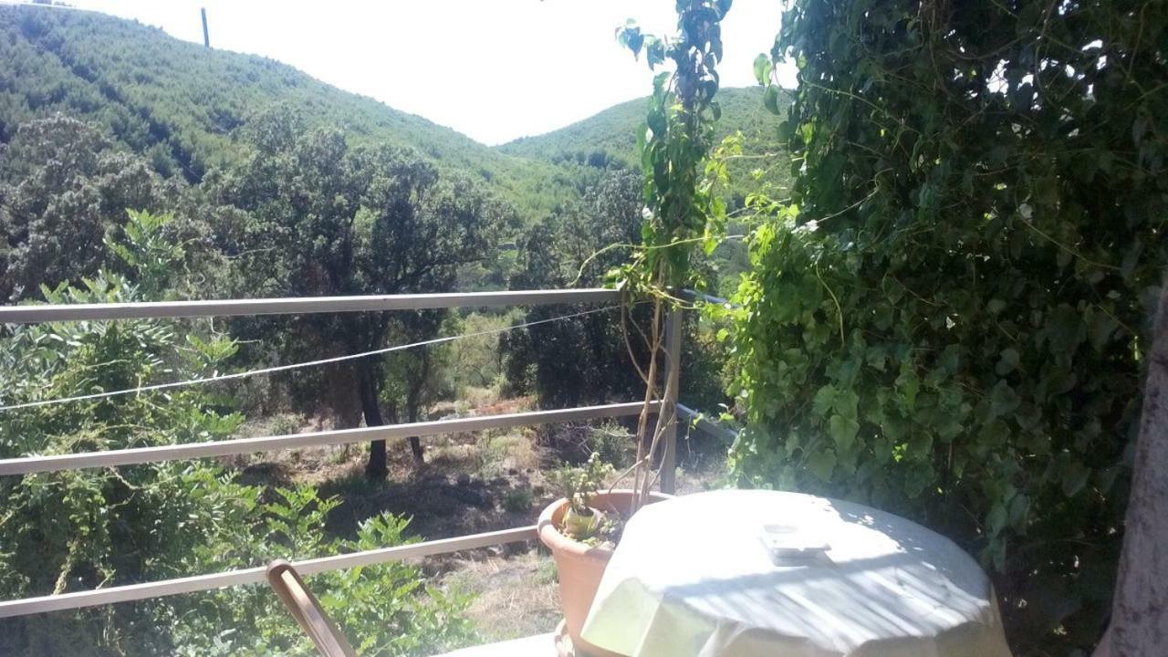 Cottage Melita The Apartment For Animal Lovers Babino Polje 外观 照片