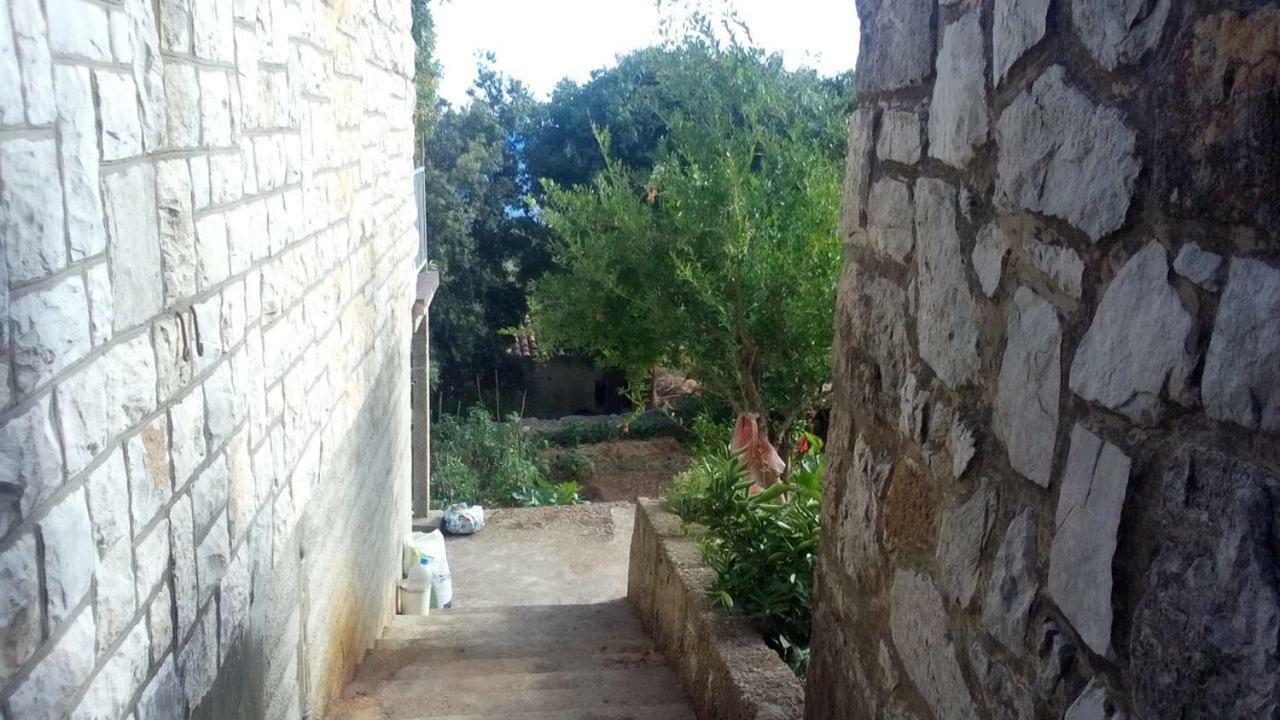 Cottage Melita The Apartment For Animal Lovers Babino Polje 外观 照片