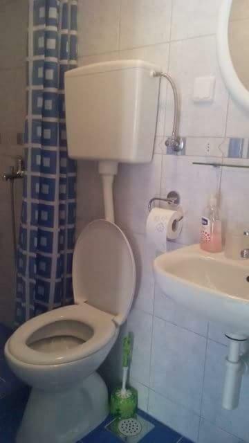 Cottage Melita The Apartment For Animal Lovers Babino Polje 外观 照片