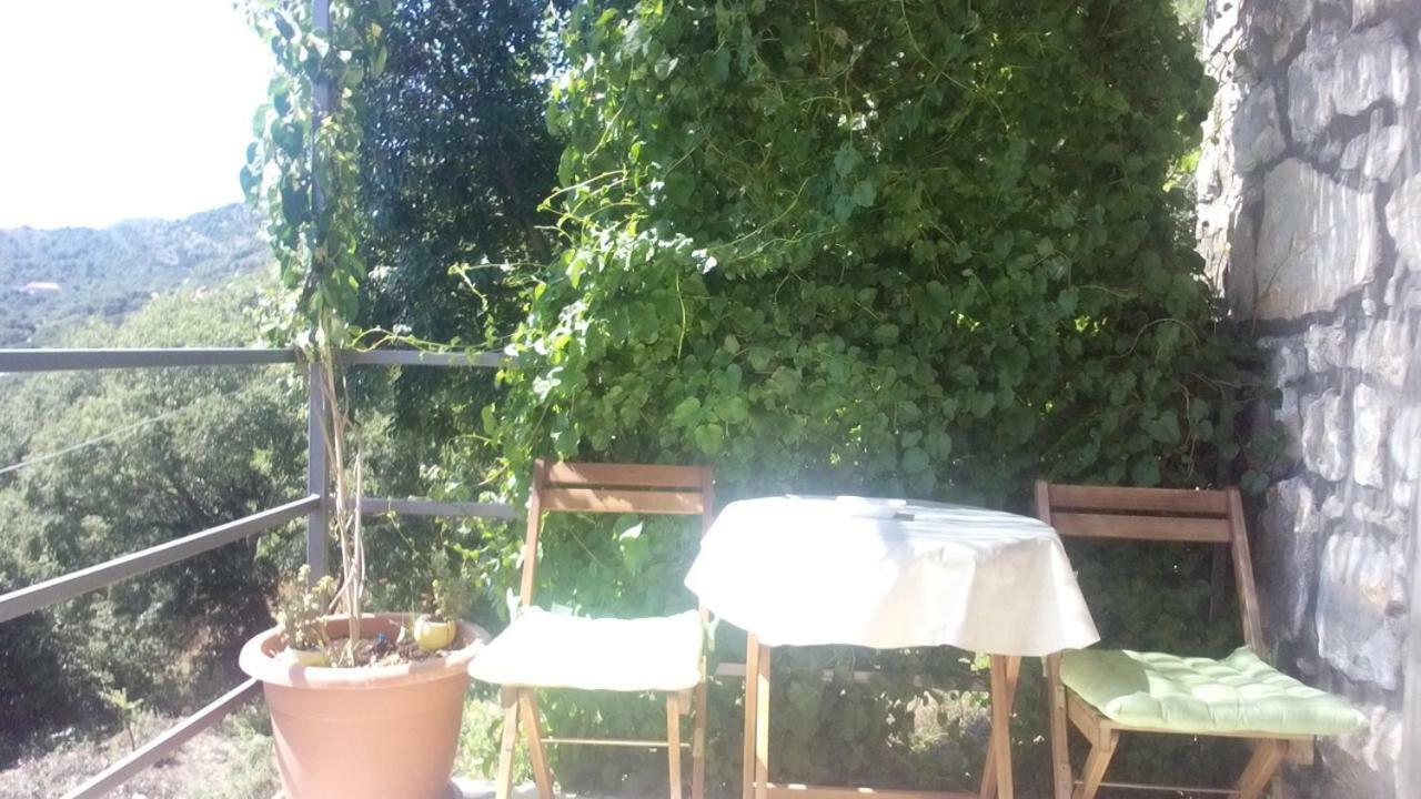 Cottage Melita The Apartment For Animal Lovers Babino Polje 外观 照片
