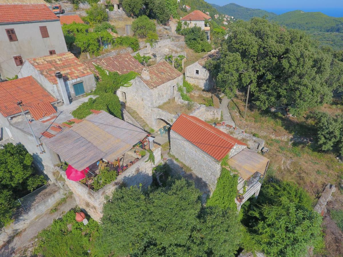 Cottage Melita The Apartment For Animal Lovers Babino Polje 外观 照片