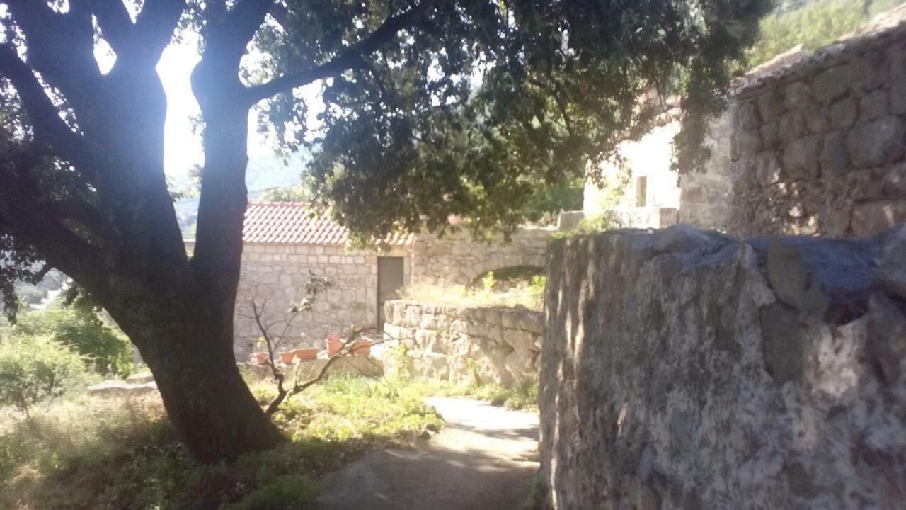 Cottage Melita The Apartment For Animal Lovers Babino Polje 外观 照片