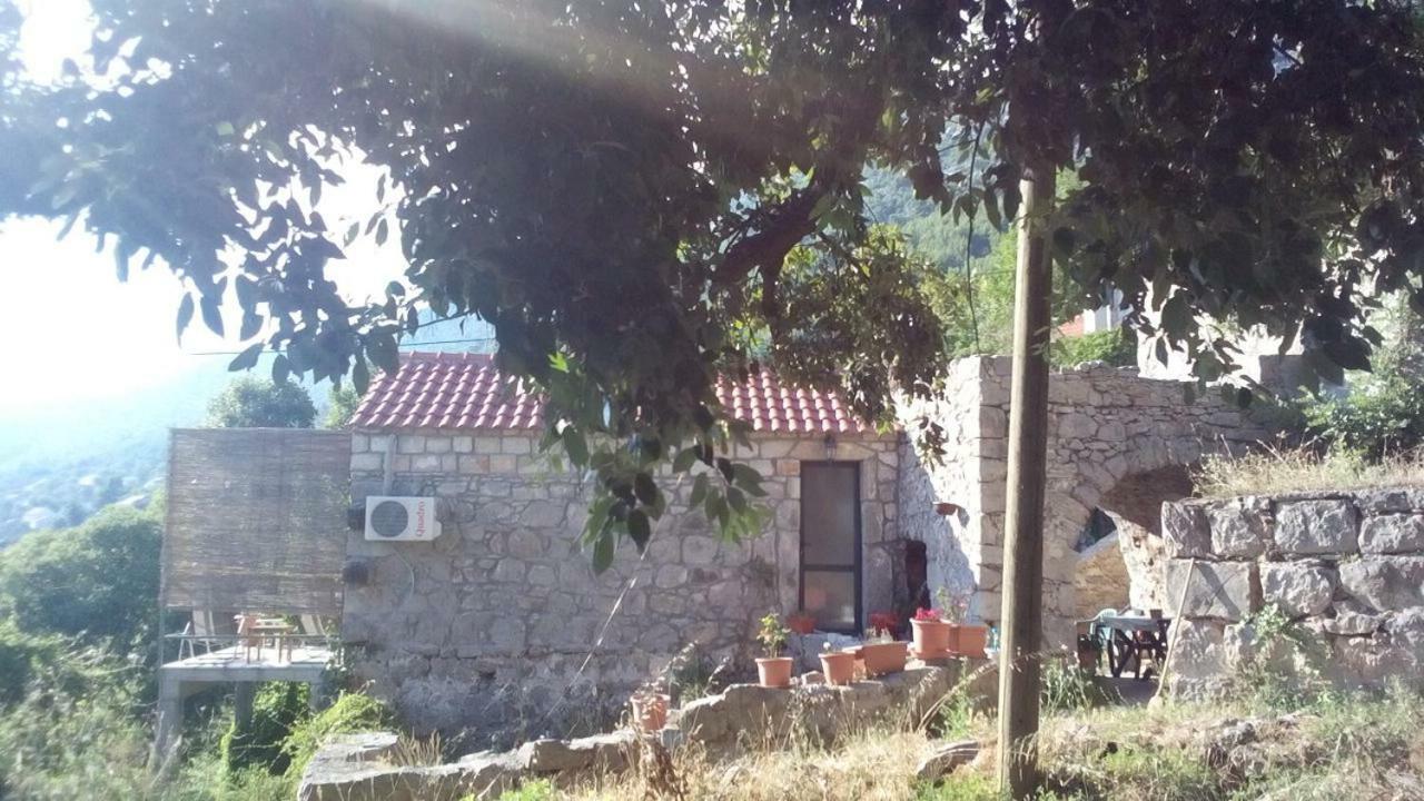 Cottage Melita The Apartment For Animal Lovers Babino Polje 外观 照片