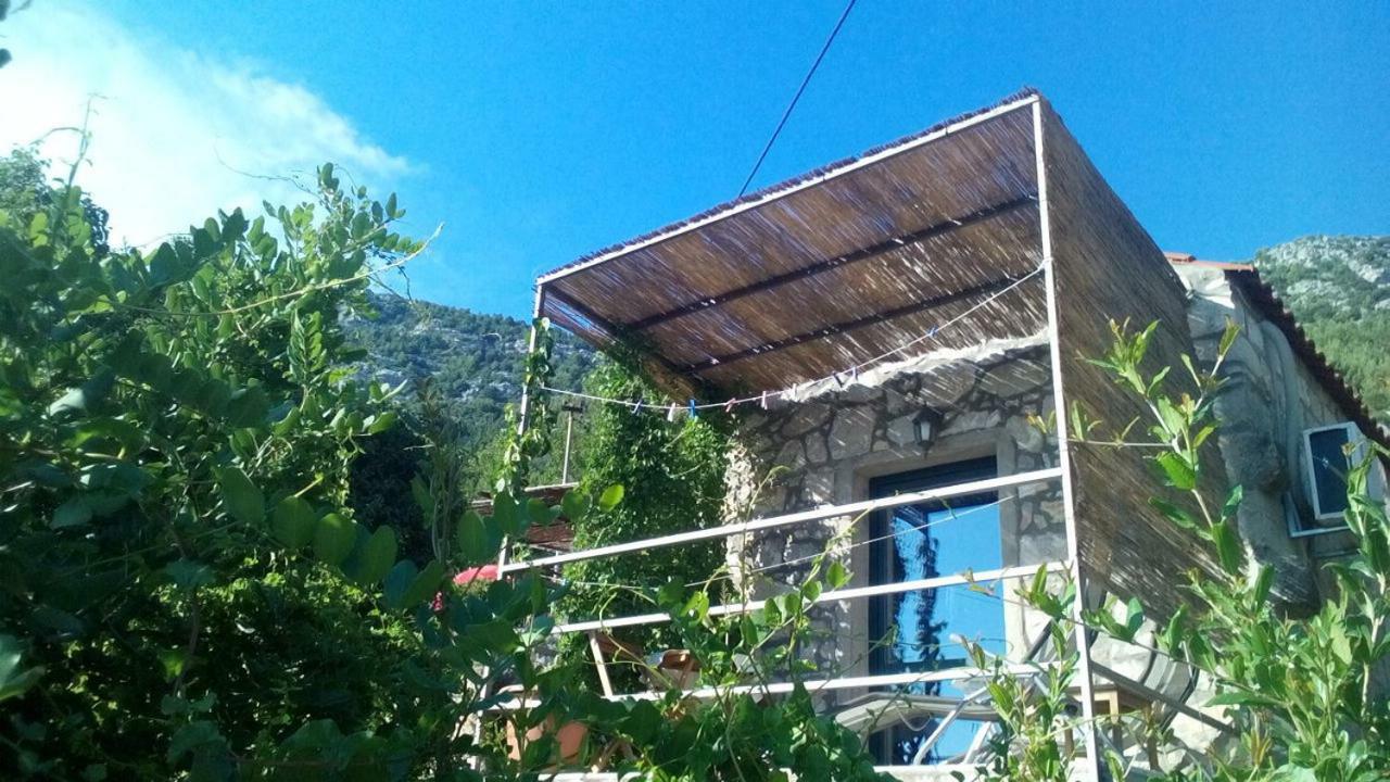 Cottage Melita The Apartment For Animal Lovers Babino Polje 外观 照片