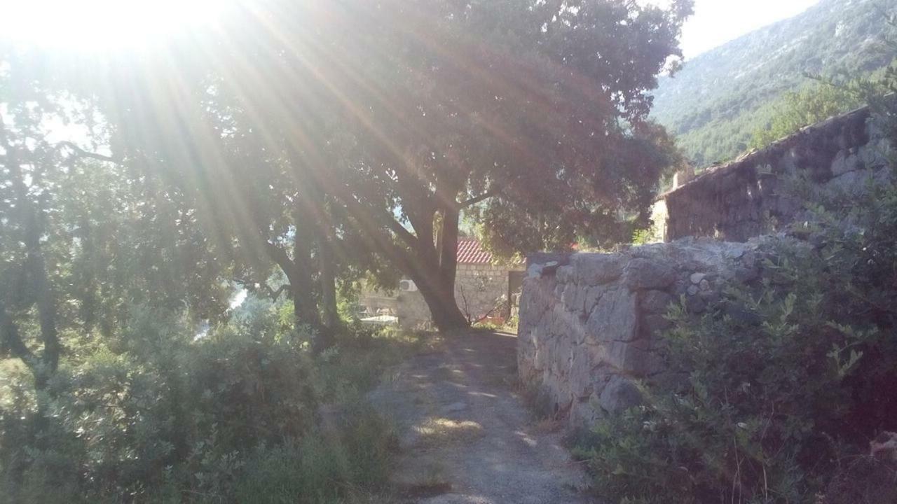 Cottage Melita The Apartment For Animal Lovers Babino Polje 外观 照片