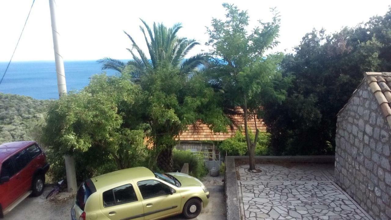 Cottage Melita The Apartment For Animal Lovers Babino Polje 外观 照片