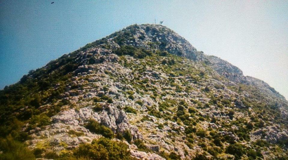 Cottage Melita The Apartment For Animal Lovers Babino Polje 外观 照片