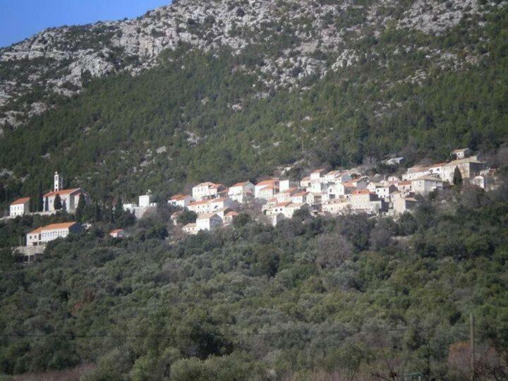 Cottage Melita The Apartment For Animal Lovers Babino Polje 外观 照片
