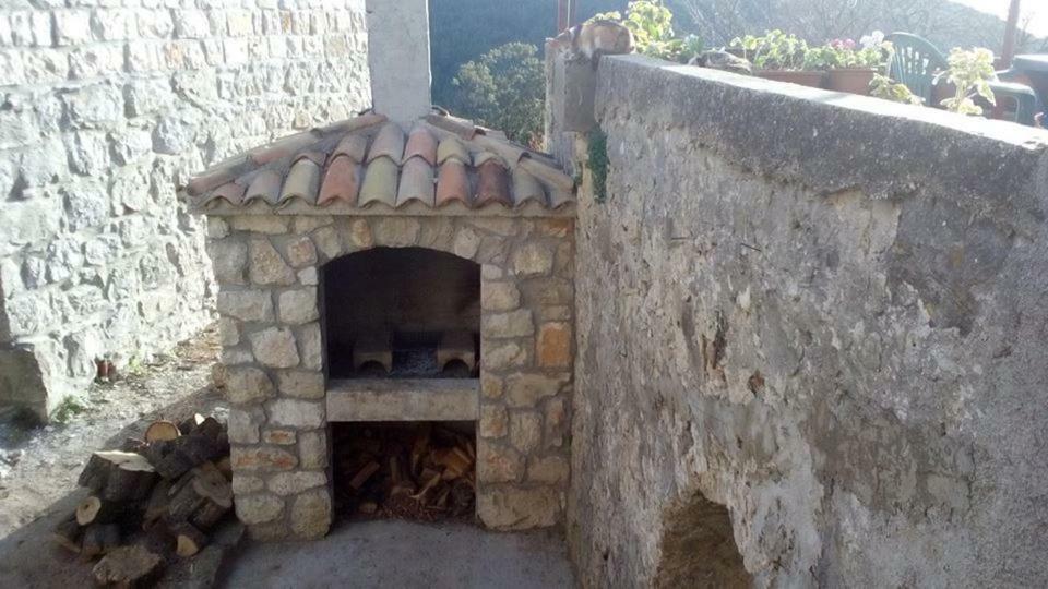 Cottage Melita The Apartment For Animal Lovers Babino Polje 外观 照片