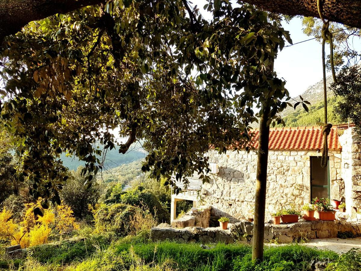 Cottage Melita The Apartment For Animal Lovers Babino Polje 外观 照片