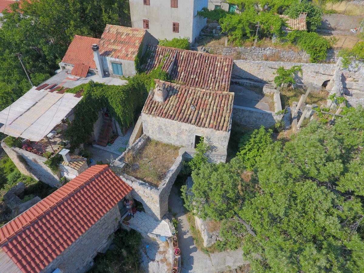 Cottage Melita The Apartment For Animal Lovers Babino Polje 外观 照片