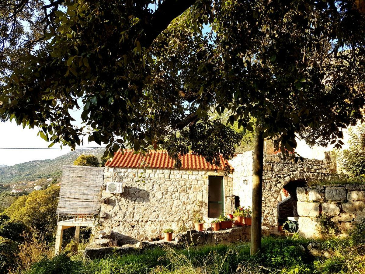 Cottage Melita The Apartment For Animal Lovers Babino Polje 外观 照片