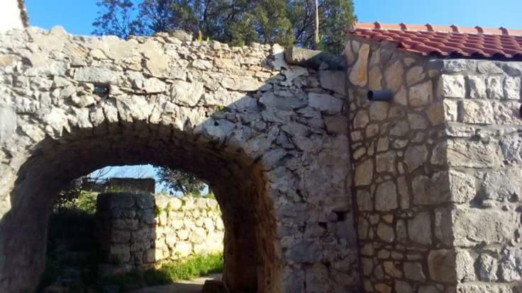 Cottage Melita The Apartment For Animal Lovers Babino Polje 外观 照片
