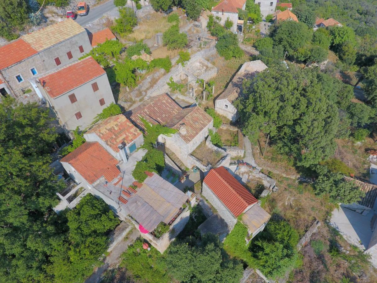 Cottage Melita The Apartment For Animal Lovers Babino Polje 外观 照片